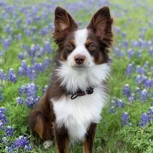 Meet your Posher, Leann